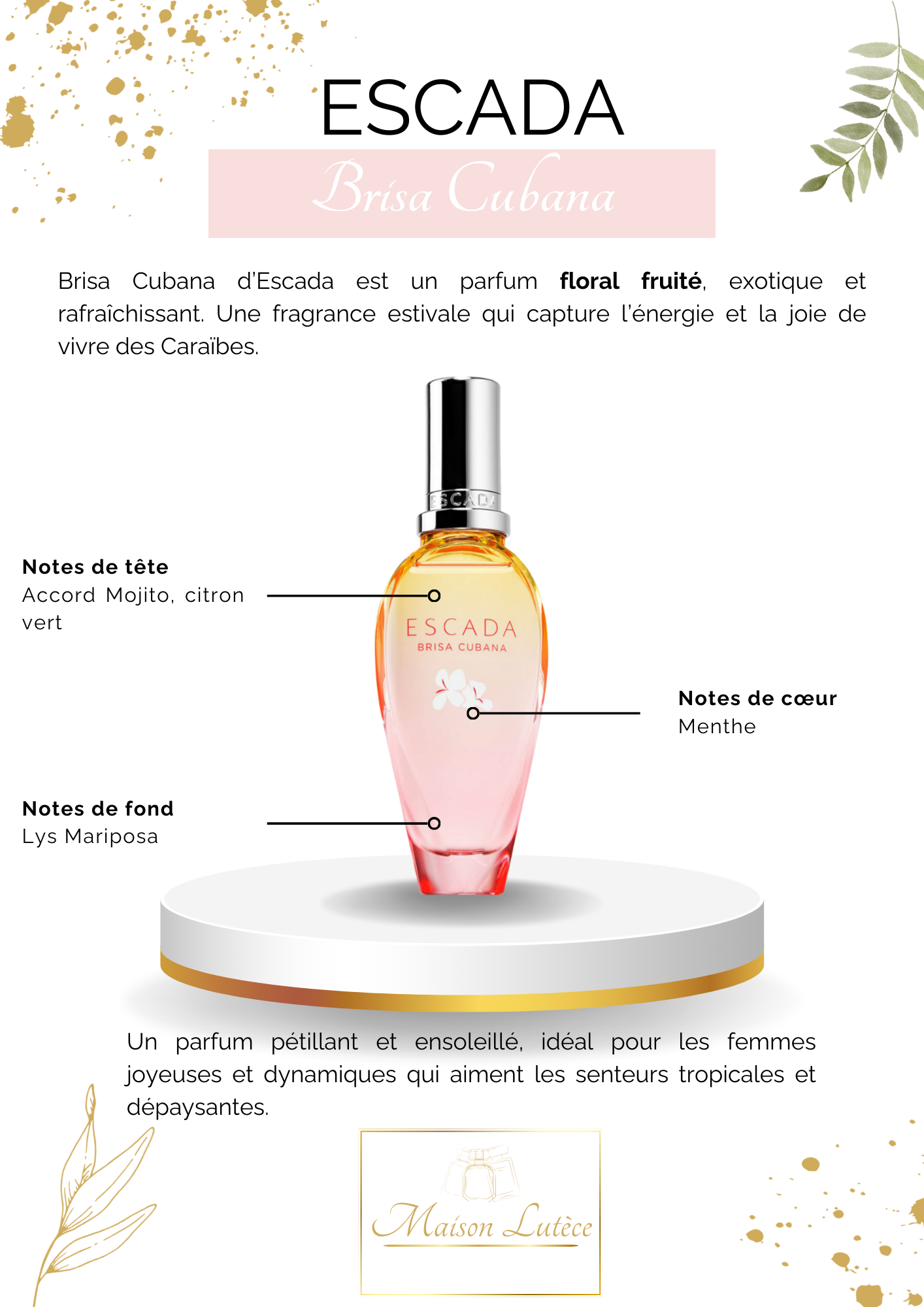 Brisa Cubana – Escada