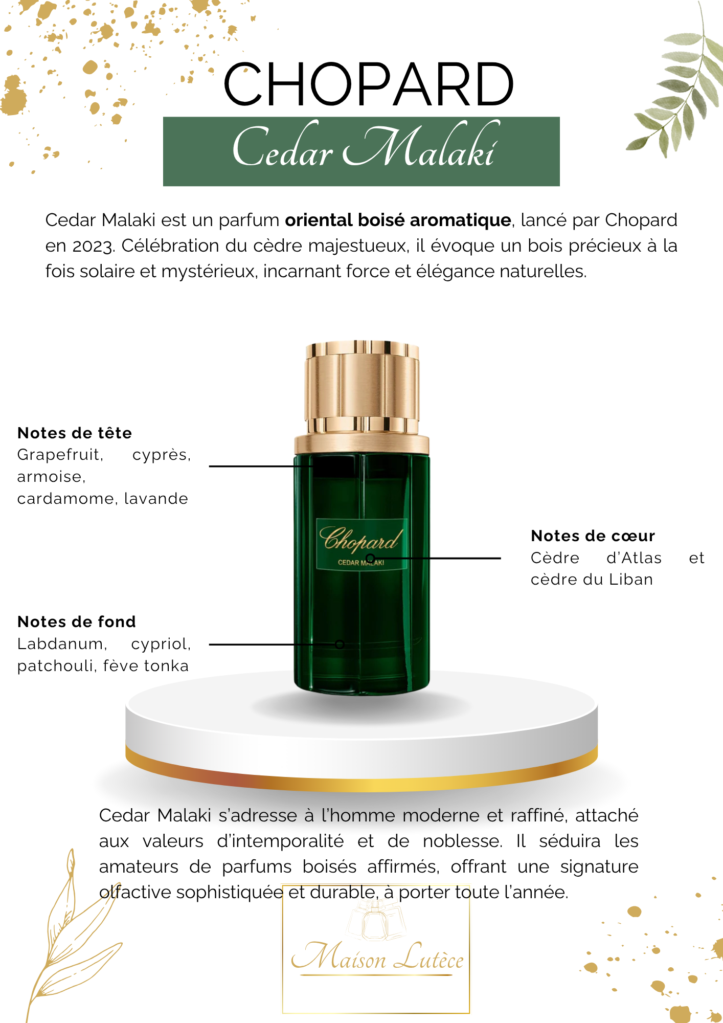 Cedar Malaki – Chopard
