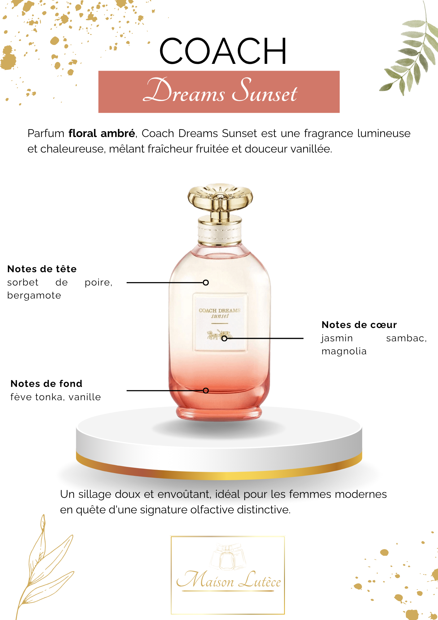 Dreams Sunset – Coach
