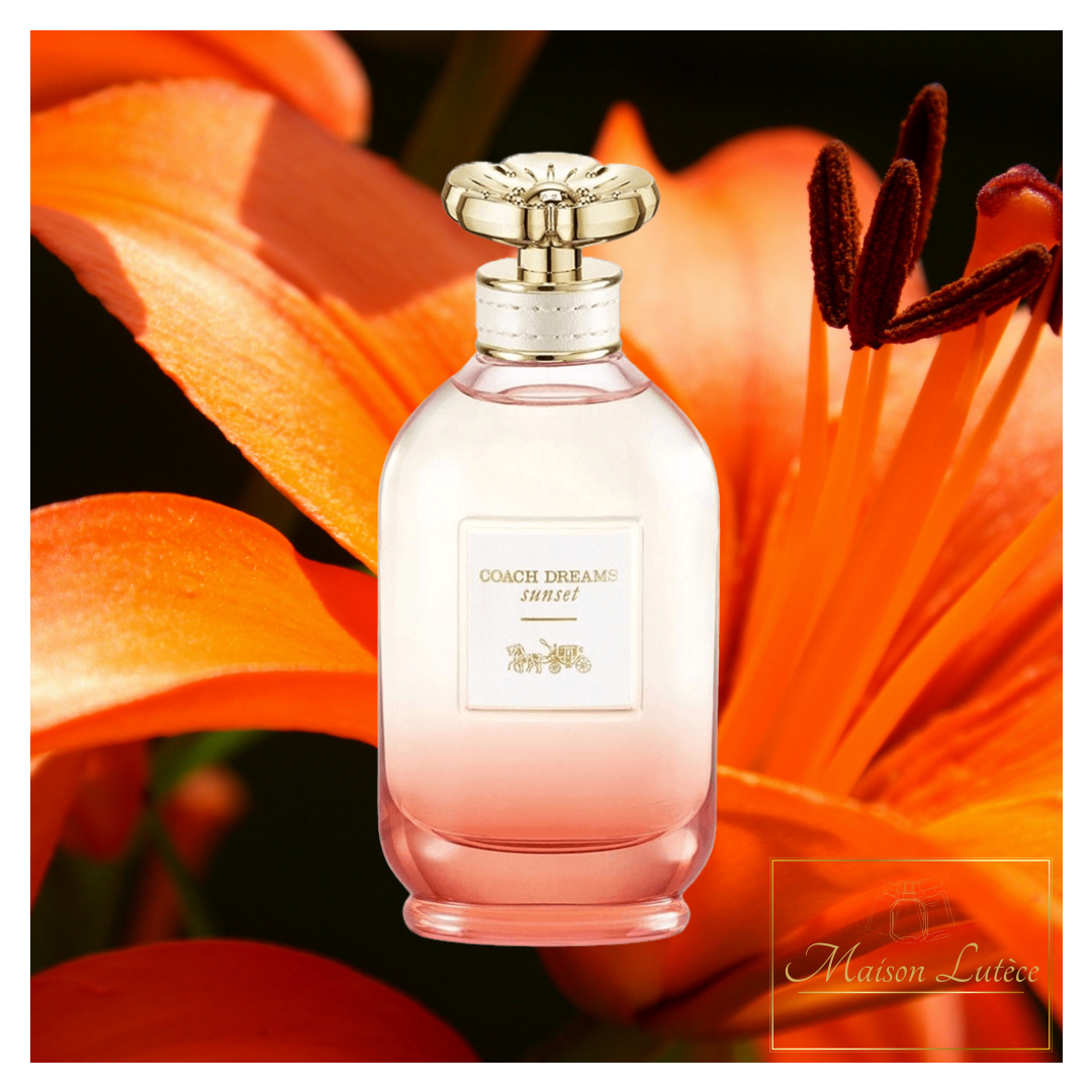 Dreams Sunset – Coach