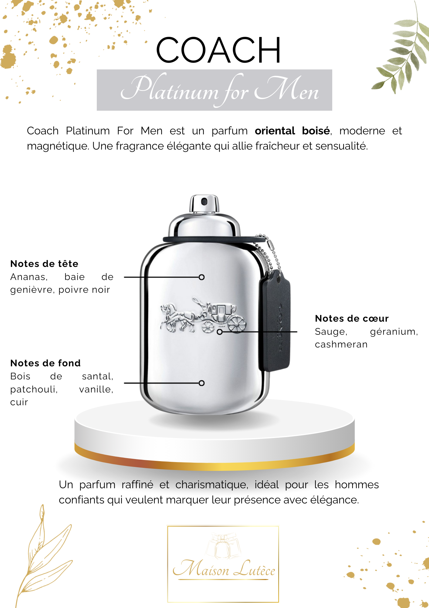 Platinum For Men – Coach