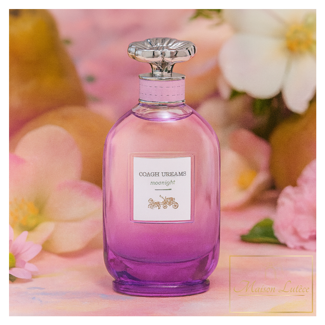 Dreams Moonlight – Coach