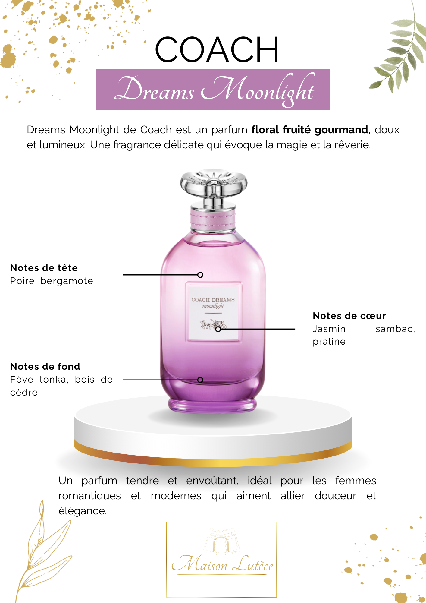 Dreams Moonlight – Coach