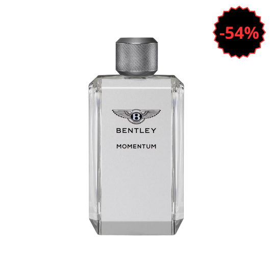 Momentum – Bentley TESTEUR (sans boite)